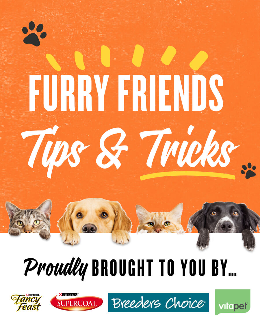 best friends supercoat