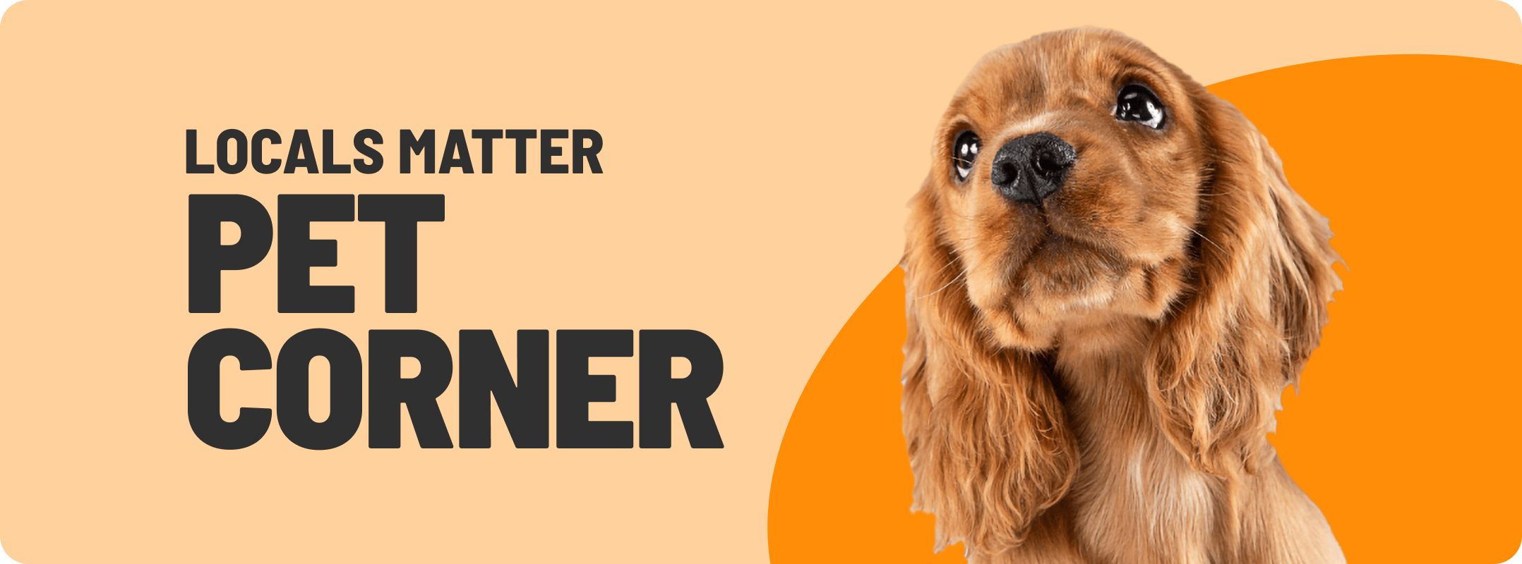 Pet Corner Desktop 2025 Banner Update