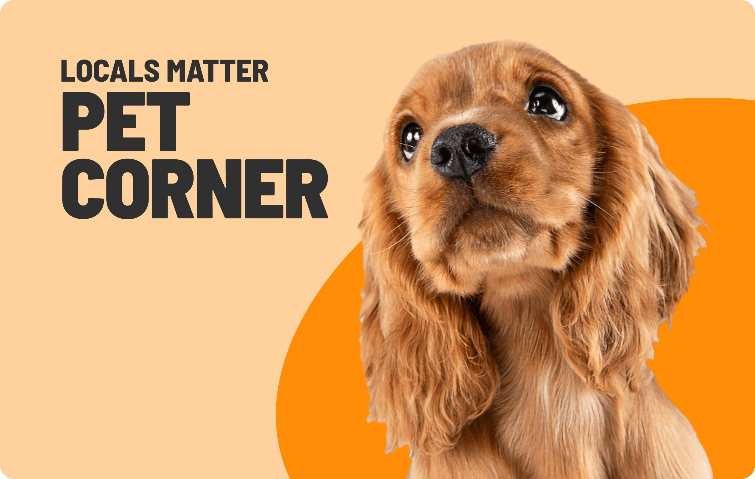 Pet Corner Mobile 2025 Banner Update