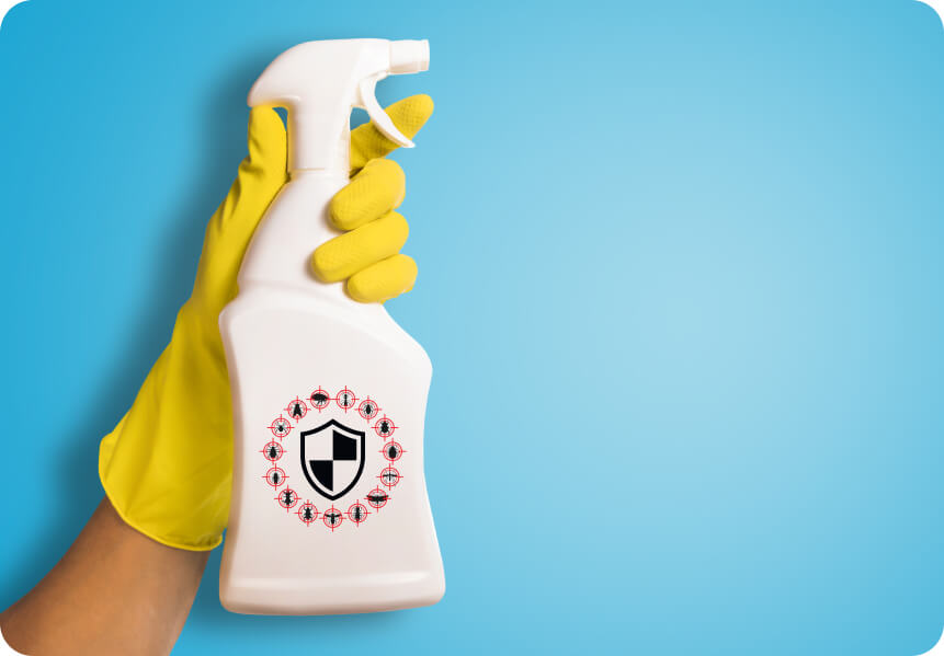 Hand with yellow glove holding a pest control spray bottle
