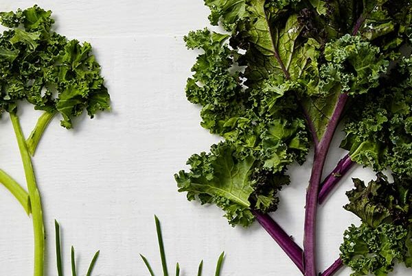 img-featured-kale